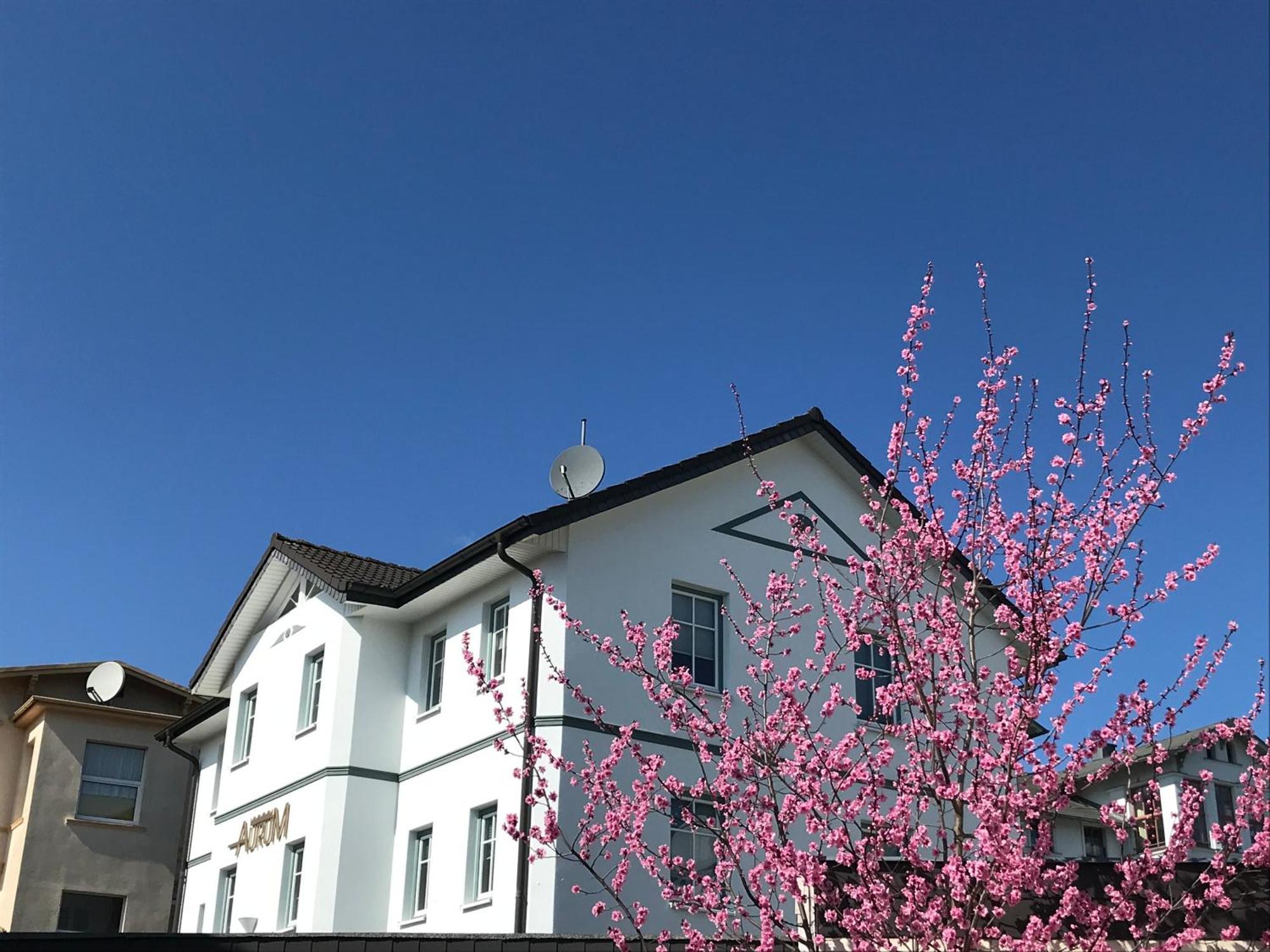 Apartmenthaus Aurum Heringsdorf  Exteriör bild